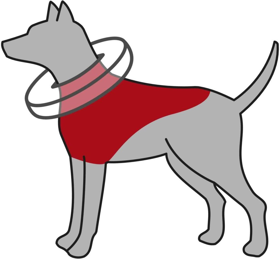 Защитный воротник для собак Trixie надувной L–XL 66–78 см / 12 см голубой фото 5