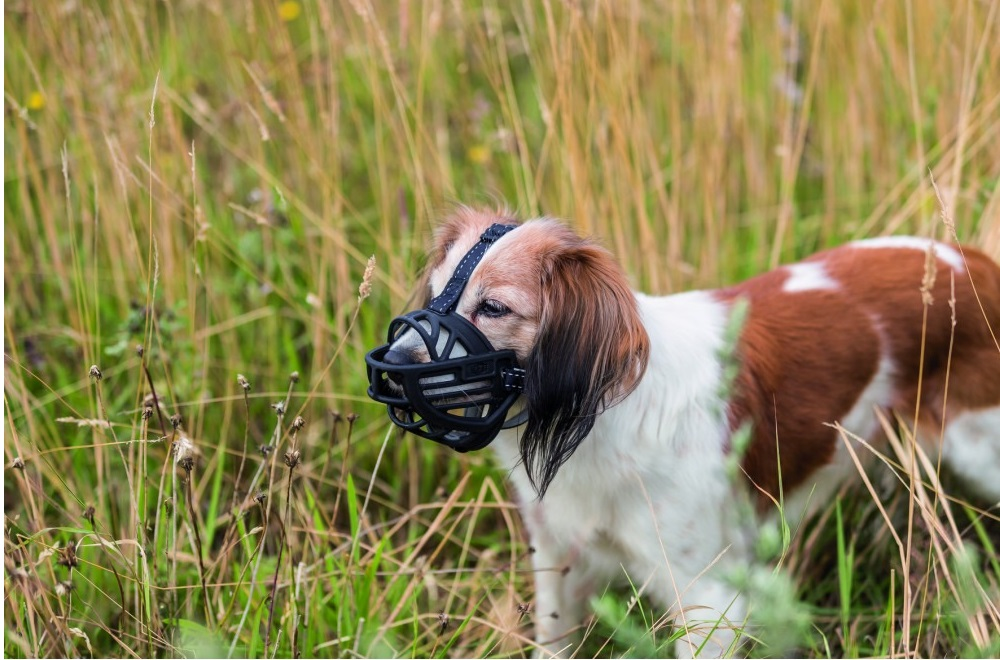 Намордник для собак Trixie Muzzle Flex силіконовий L чорнийфото8