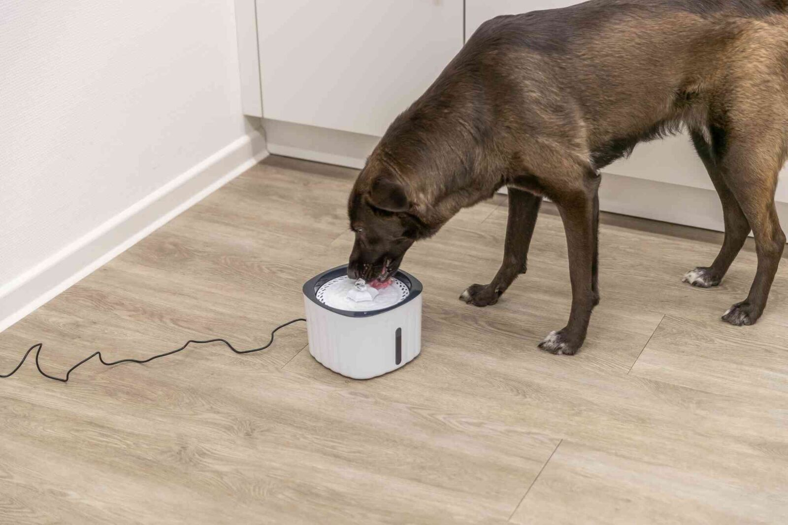 Поїлка-фонтан для котів Trixie Flower пластикова 18.5*13*18.5 см 2 лфото9