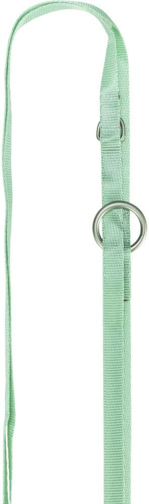 Шлея з повідцем для цуценят Trixie S–M 26–34 см 10 мм 2 м м'ятнафото4