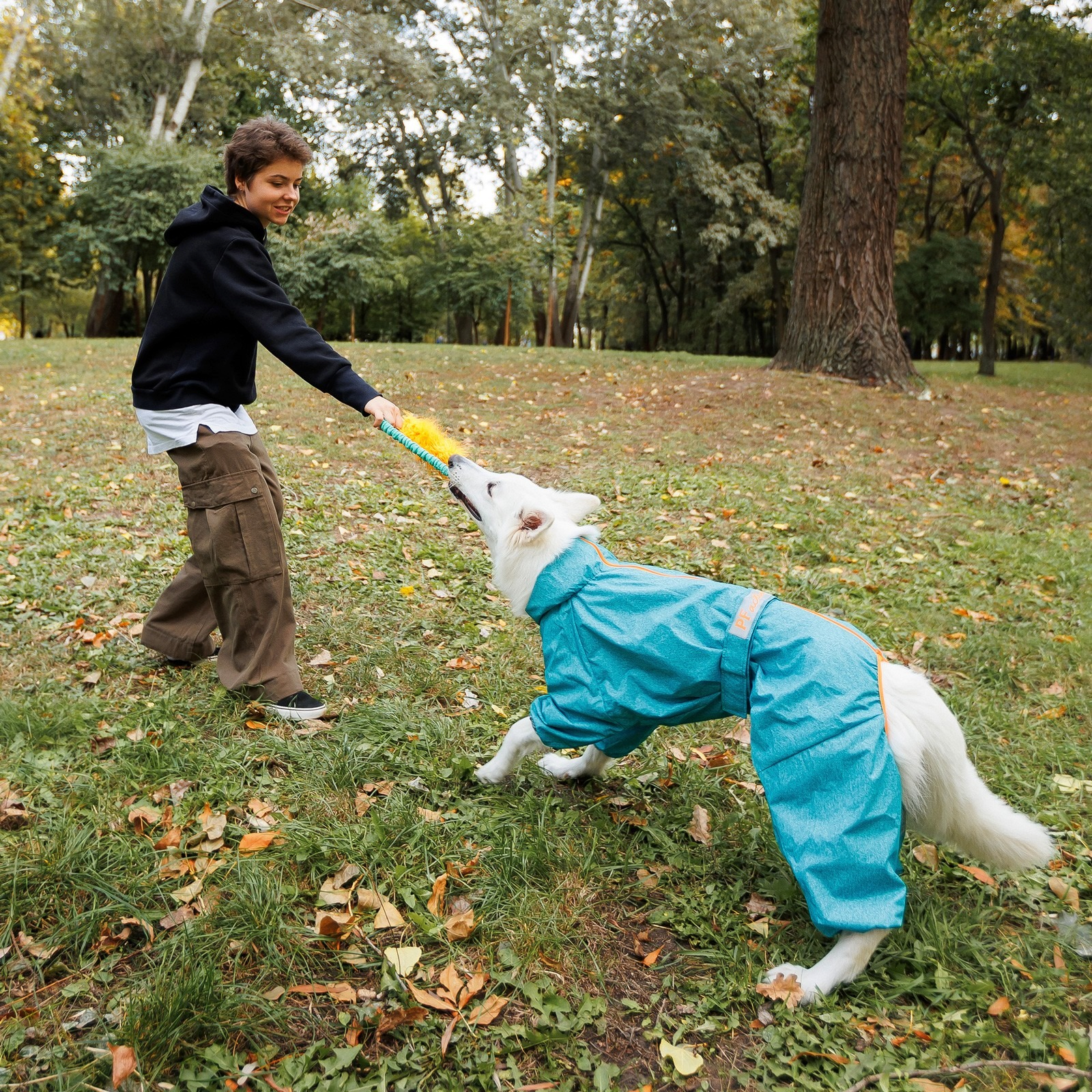 Дождевик для собак Pet Fashion Rain размер 6XL бирюзовый фото 5