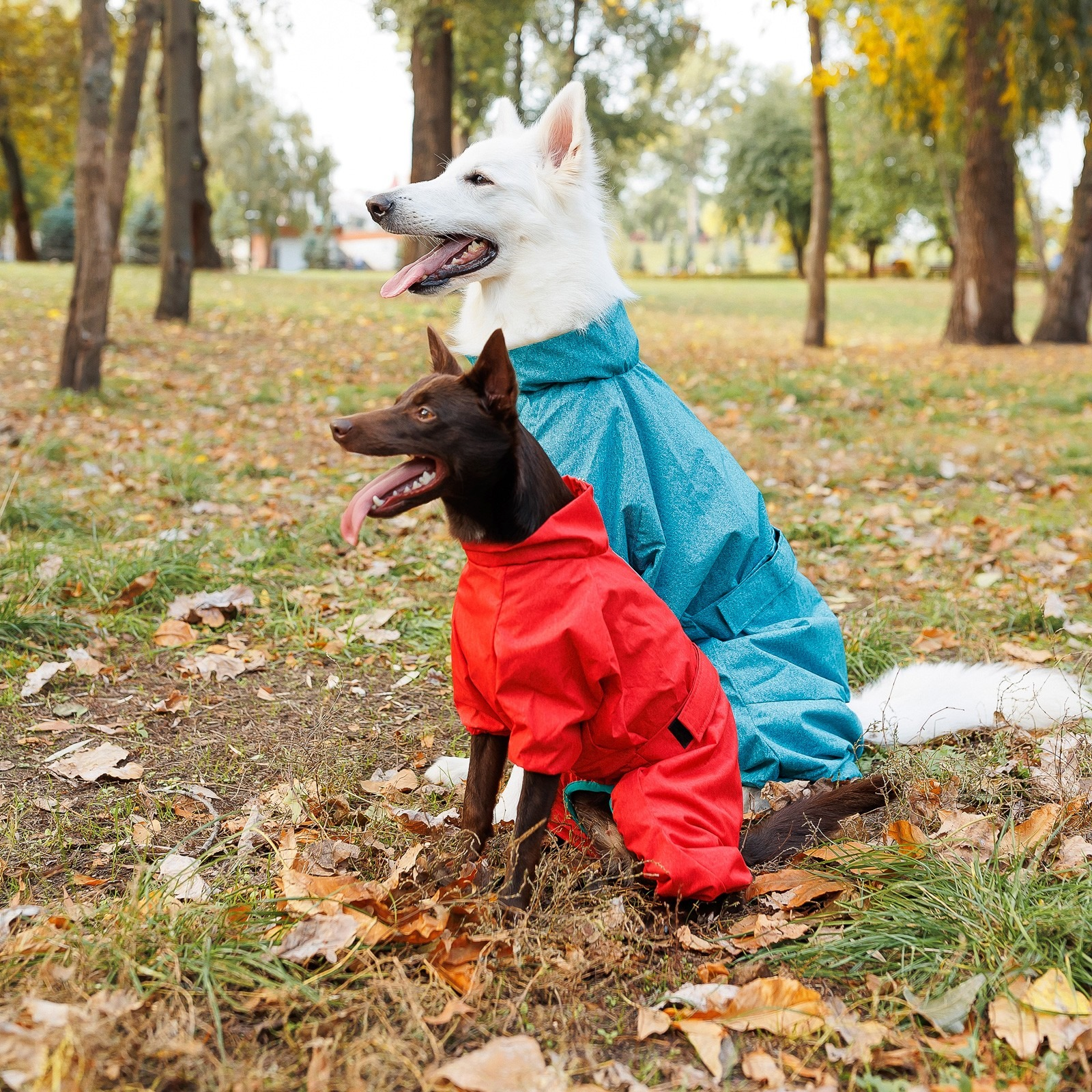 Дощовик для собак Pet Fashion Rain розмір XL бірюзовийфото