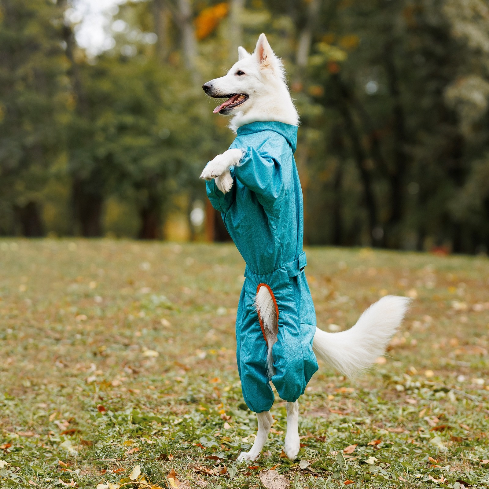 Дождевик для собак Pet Fashion Rain размер 4XL бирюзовый фото 4