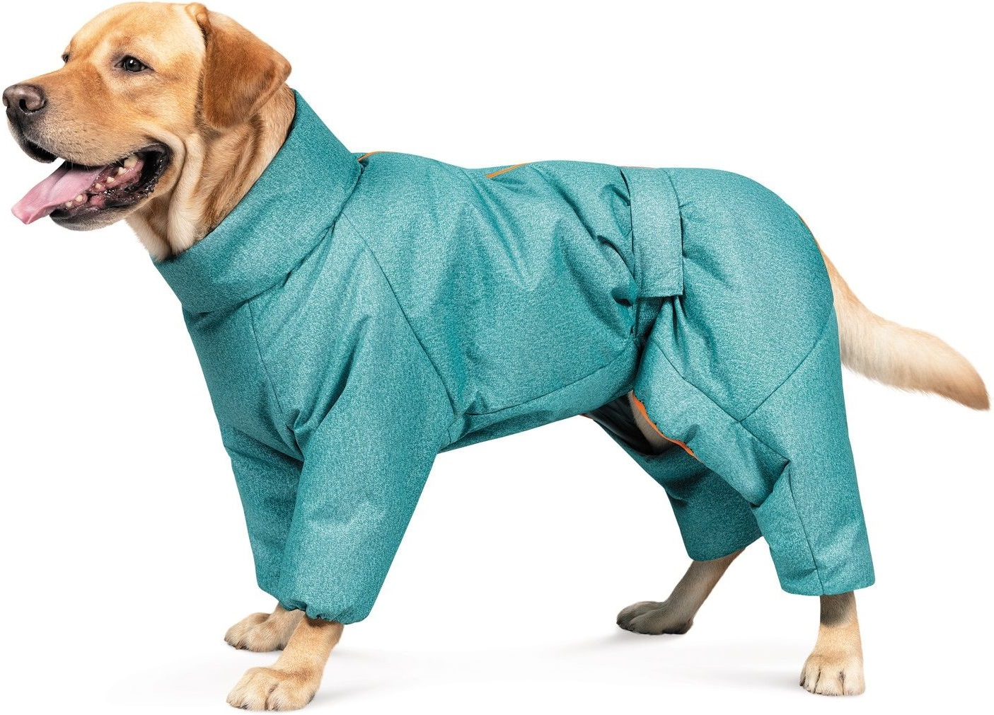 Комбинезон для собак Pet Fashion Cold размер 3XL бирюзовый фото 2