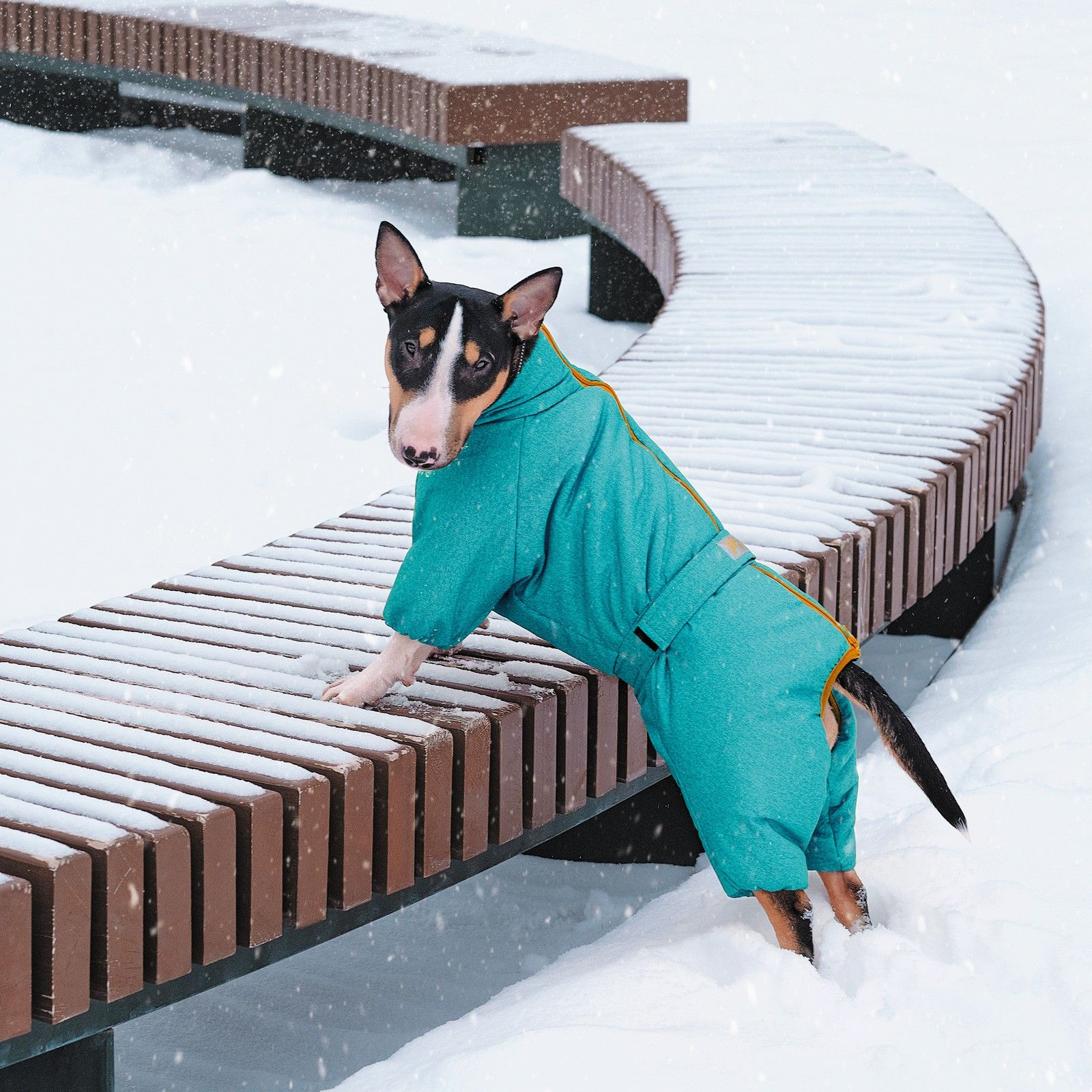 Комбинезон для собак Pet Fashion Cold размер 4XL бирюзовый фото 5