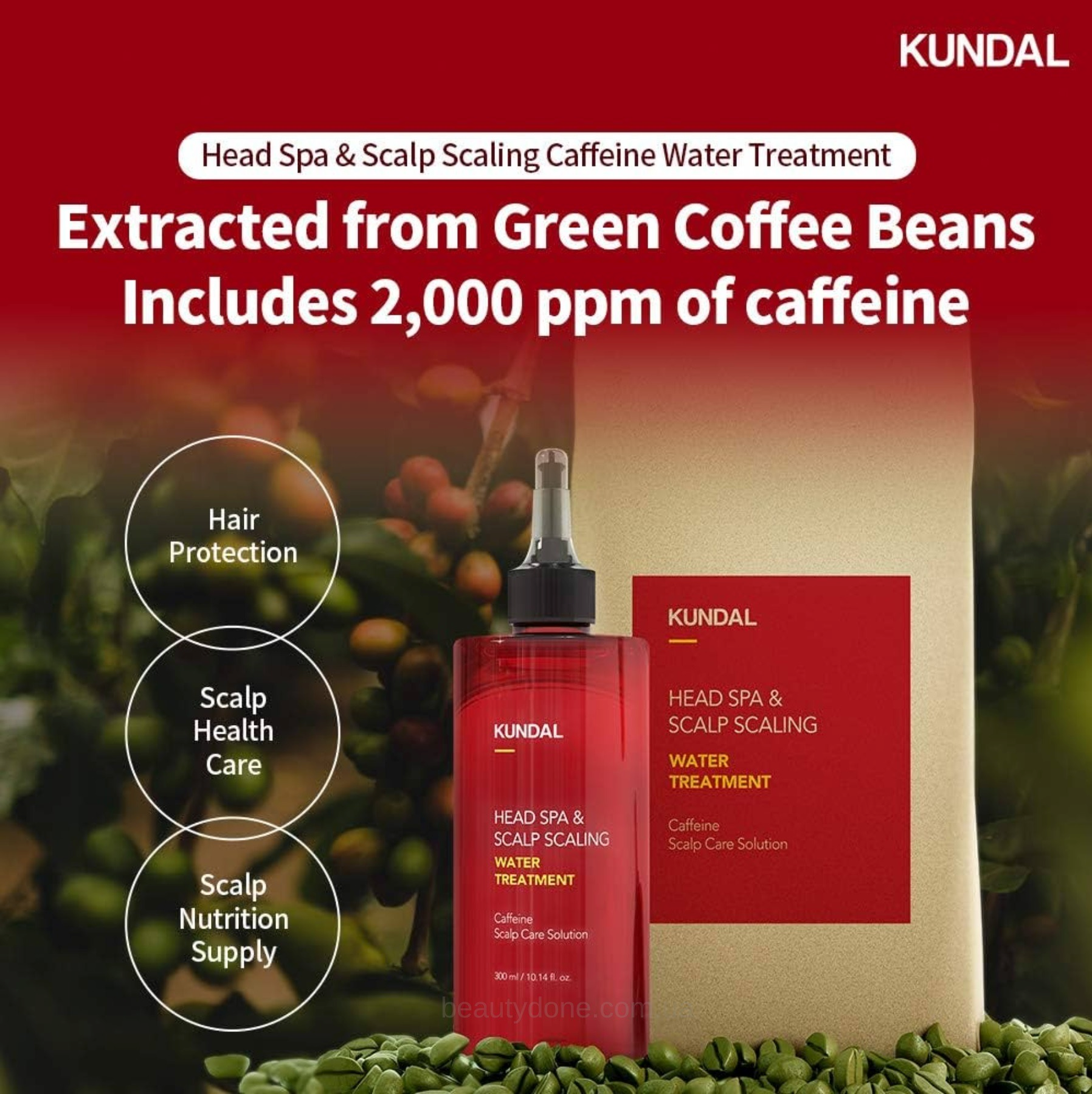 Сыворотка Kundal Caffeine Herb Mint для кожи головы от выпадения волос 300 мл фото 4