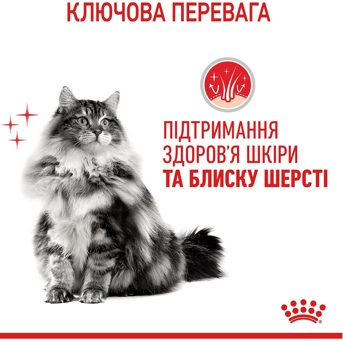 Сухий корм для кішок Royal Canin Hair&Skin Care 8 кг + 2кг (11401) (1272550721257)фото3