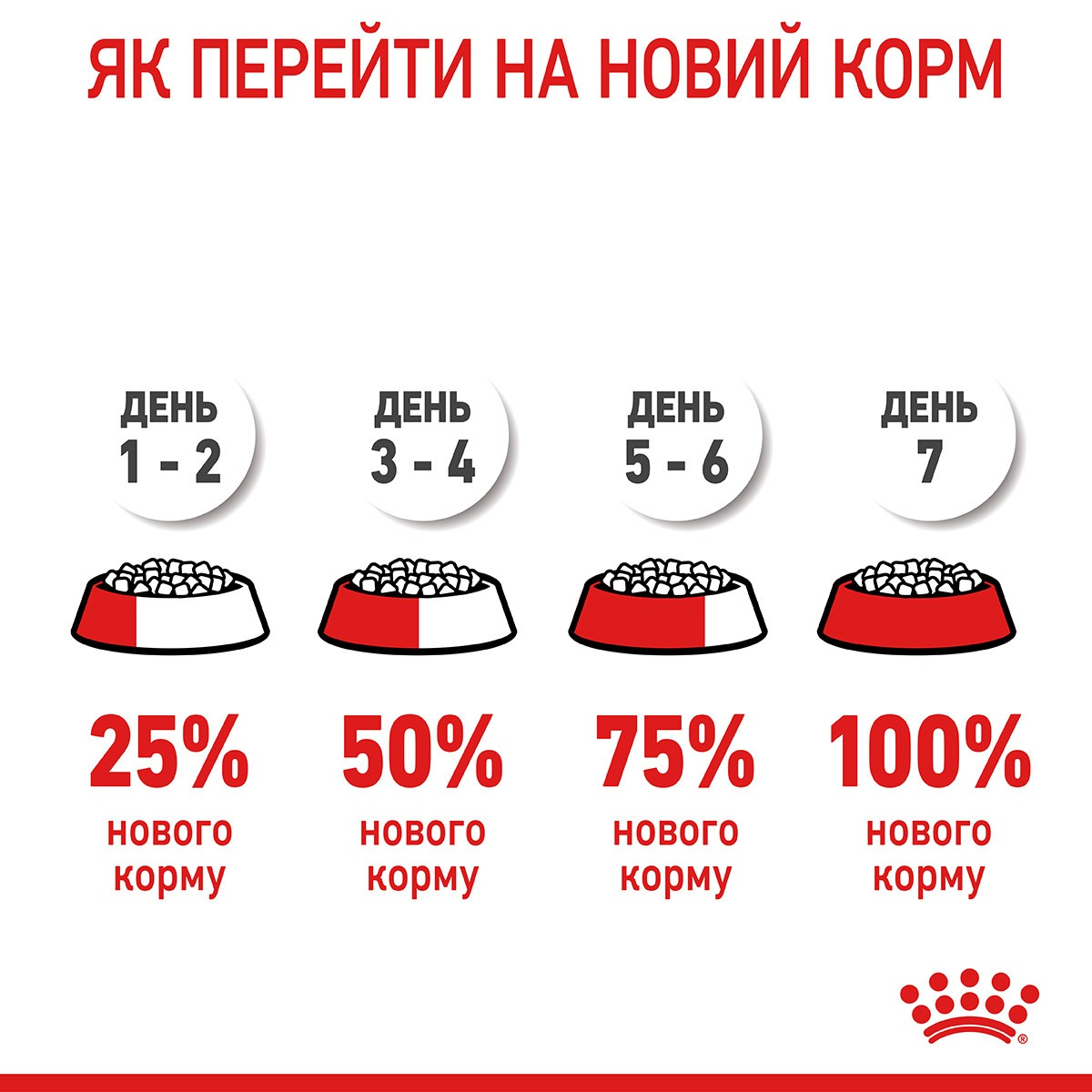 Сухий корм для кішок Royal Canin Hair&Skin Care 8 кг + 2кг (11401) (1272550721257)фото5