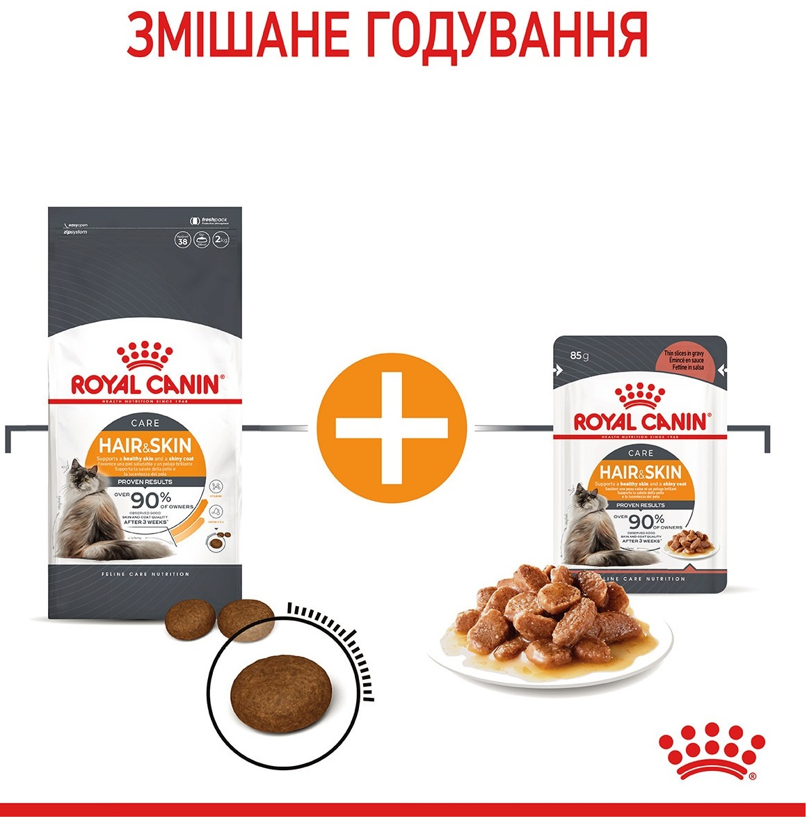 Сухий корм для кішок Royal Canin Hair&Skin Care 8 кг + 2кг (11401) (1272550721257)фото8