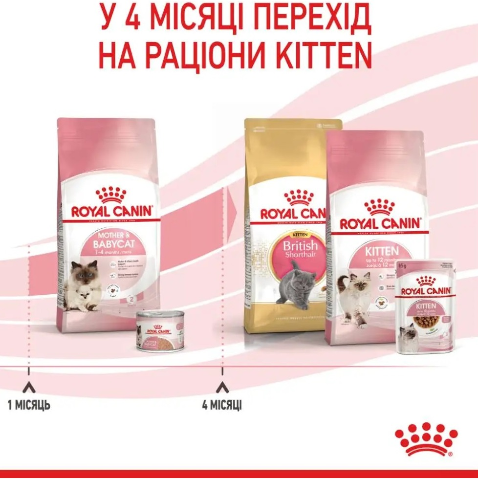 Сухой корм для кошек Royal Canin Mother & Babycat 8 + 2 кг (11685) (1272550931236) фото 9