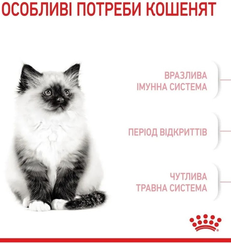 Сухий корм для кошенят Royal Canin Kitten 8 кг + 2 кг (11415) (1272551702972)фото2