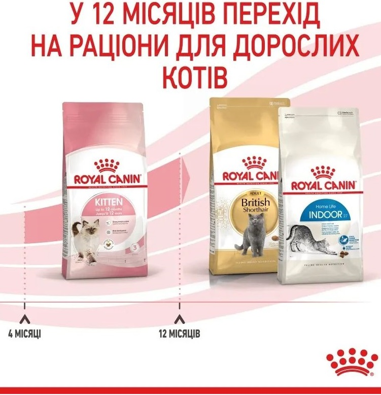 Сухий корм для кошенят Royal Canin Kitten 8 кг + 2 кг (11415) (1272551702972)фото7