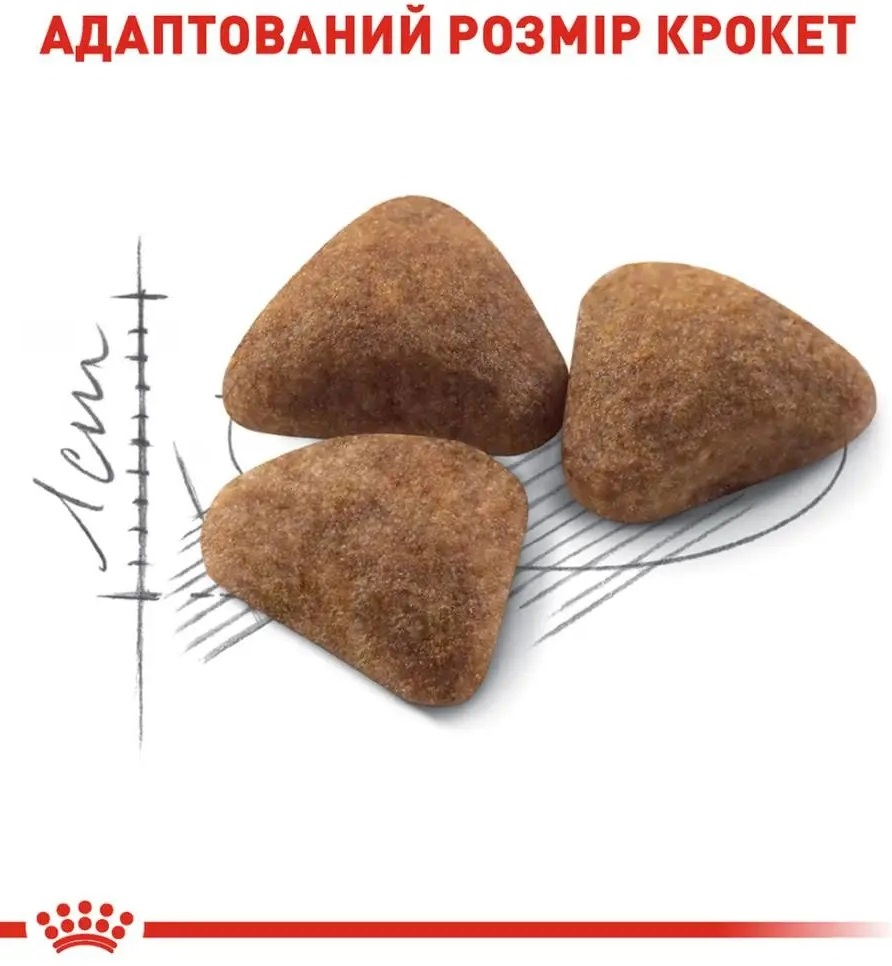 Сухой корм для домашних кошек Royal Canin Indoor 8 кг + 2 кг (11416) (1272551706949) фото 3