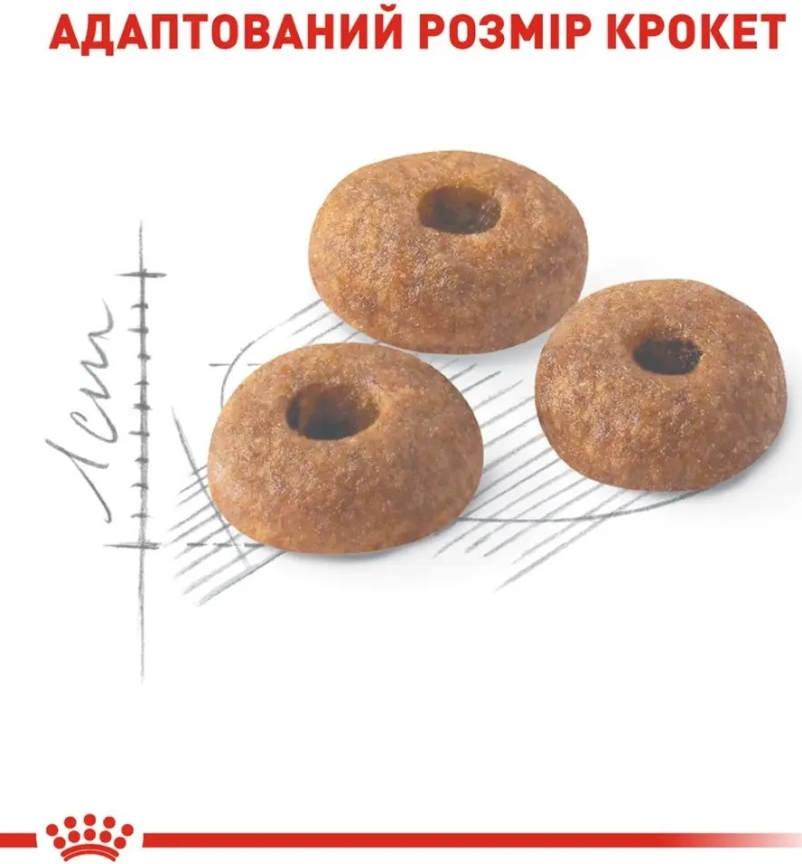 Сухой корм для домашних и уличных кошек Royal Canin Fit 8 кг + 2 кг (11417) (1272551702248) фото 3