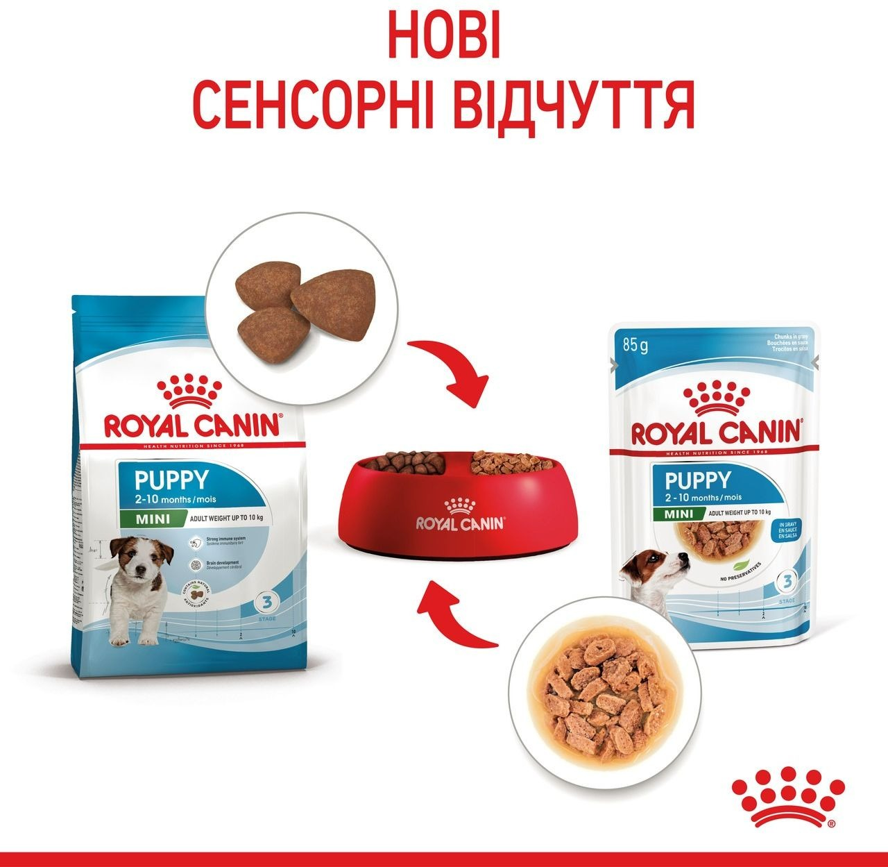 Влажный корм для щенков Royal Canin Mini Puppy 8 + 4 * 85г фото 6