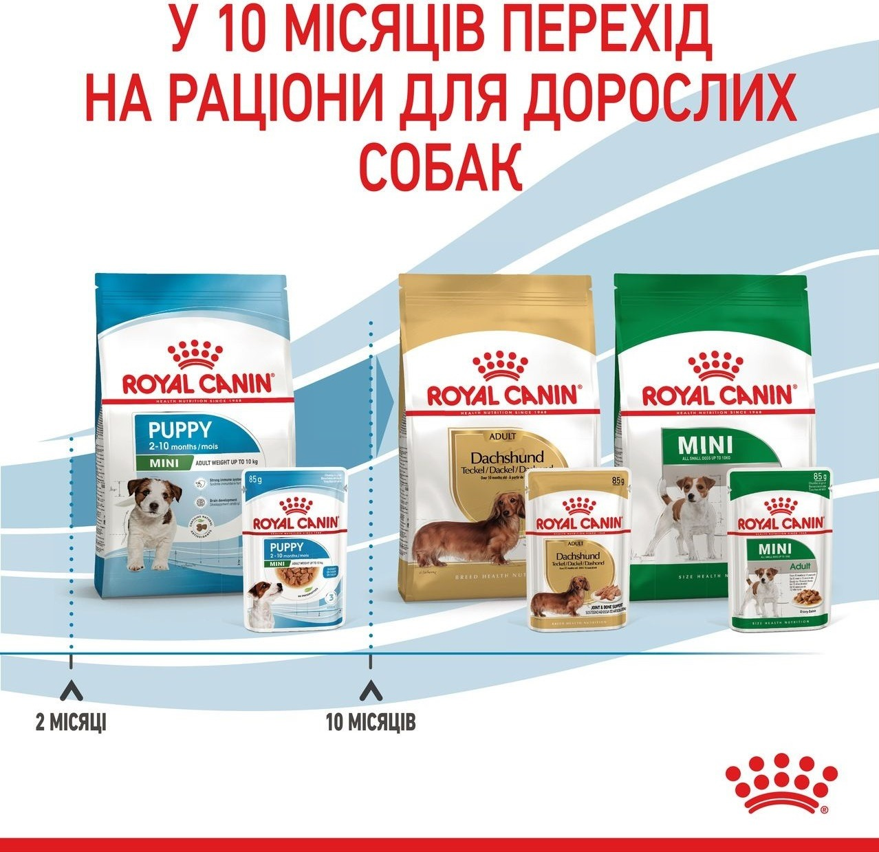 Влажный корм для щенков Royal Canin Mini Puppy 8 + 4 * 85г фото 9