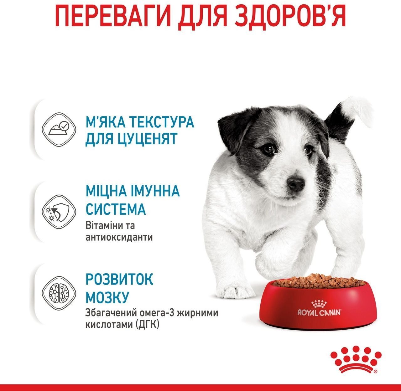 Влажный корм для щенков Royal Canin Mini Puppy 8 + 4 * 85г фото 4