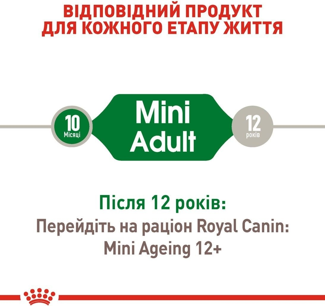 Влажный корм для собак Royal Canin Mini Adult 8 + 4 * 85г фото 8