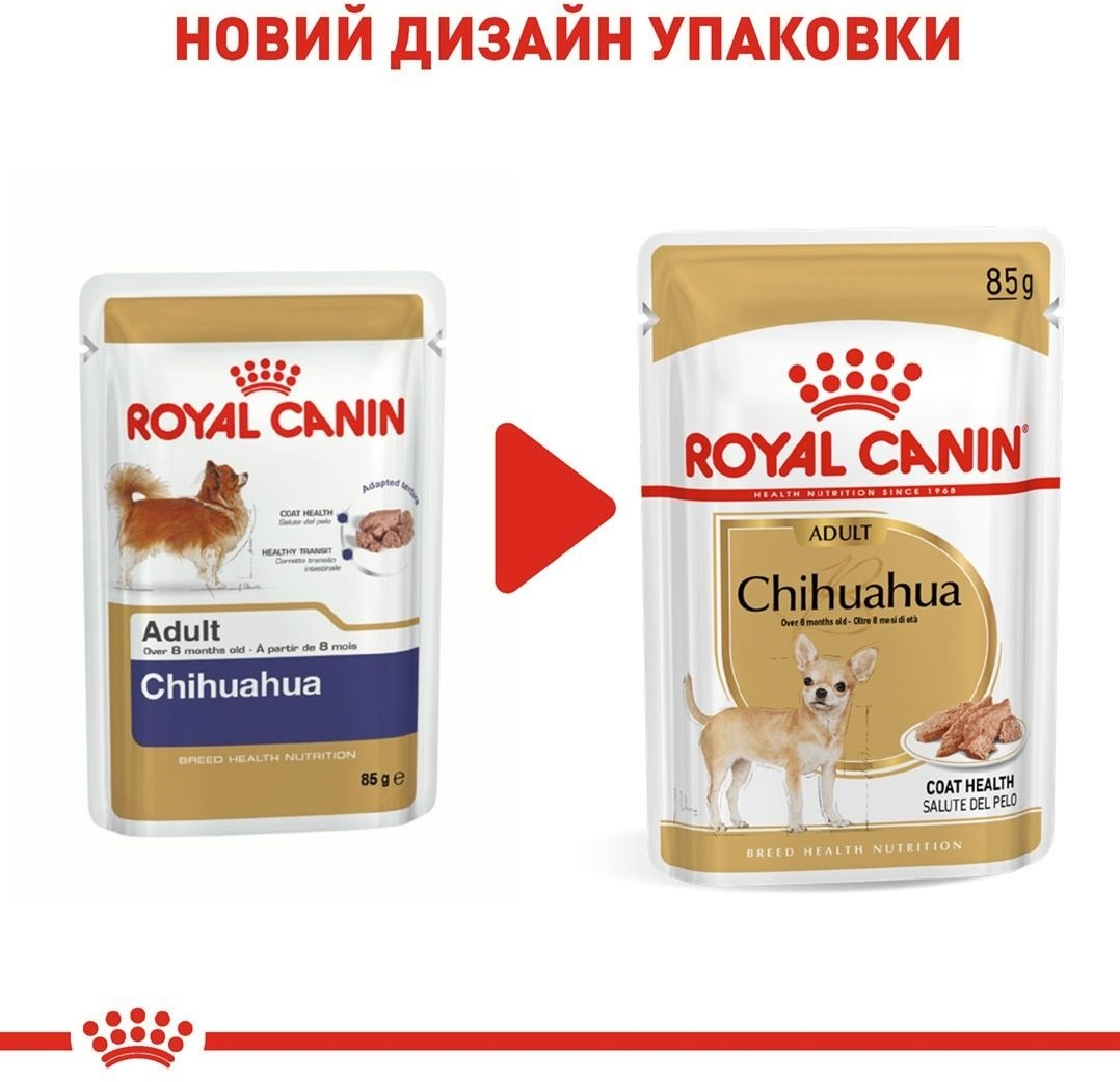 Вологий корм для собак породи Чихуахуа Royal Canin Chihuahua Adult 8+4*85гфото