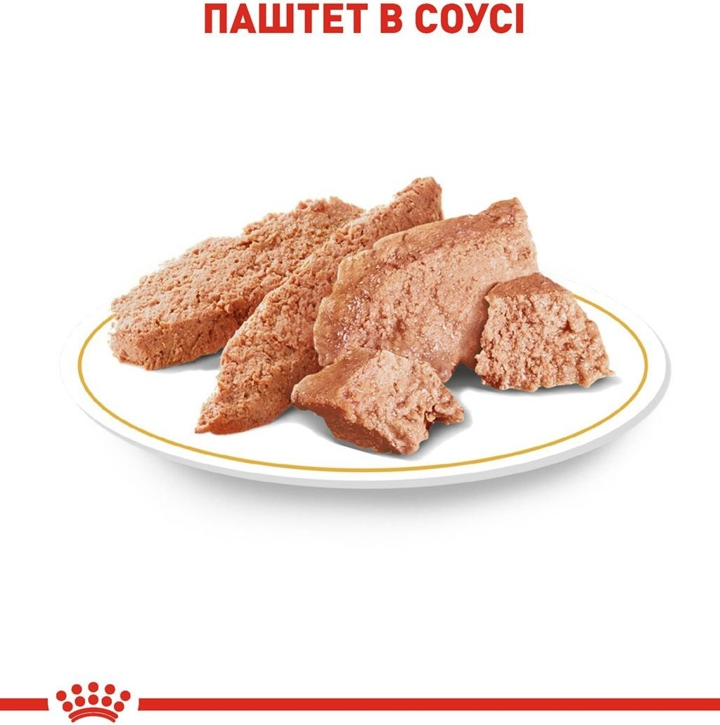 Вологий корм для собак породи Чихуахуа Royal Canin Chihuahua Adult 8+4*85гфото