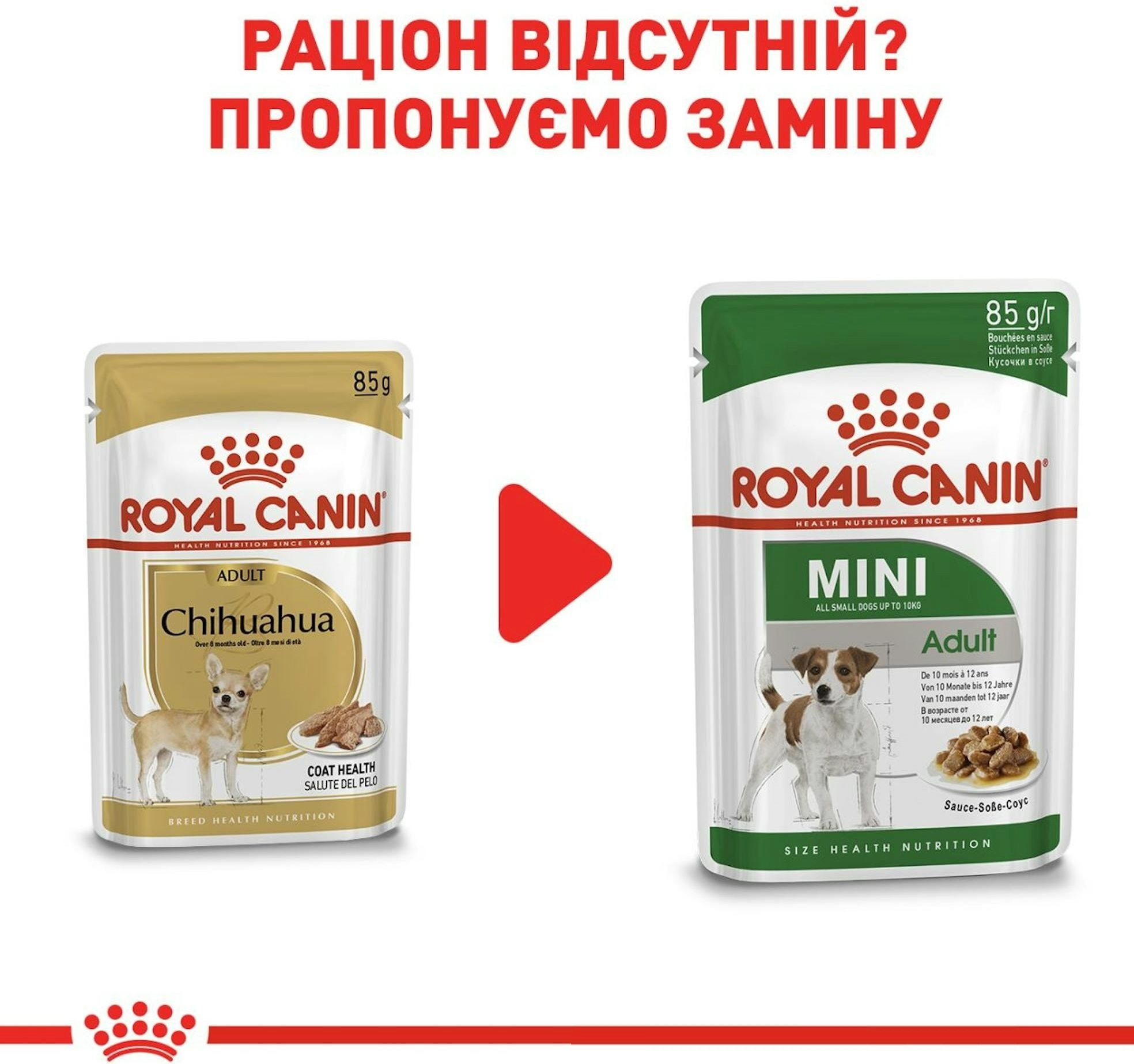 Вологий корм для собак породи Чихуахуа Royal Canin Chihuahua Adult 8+4*85гфото