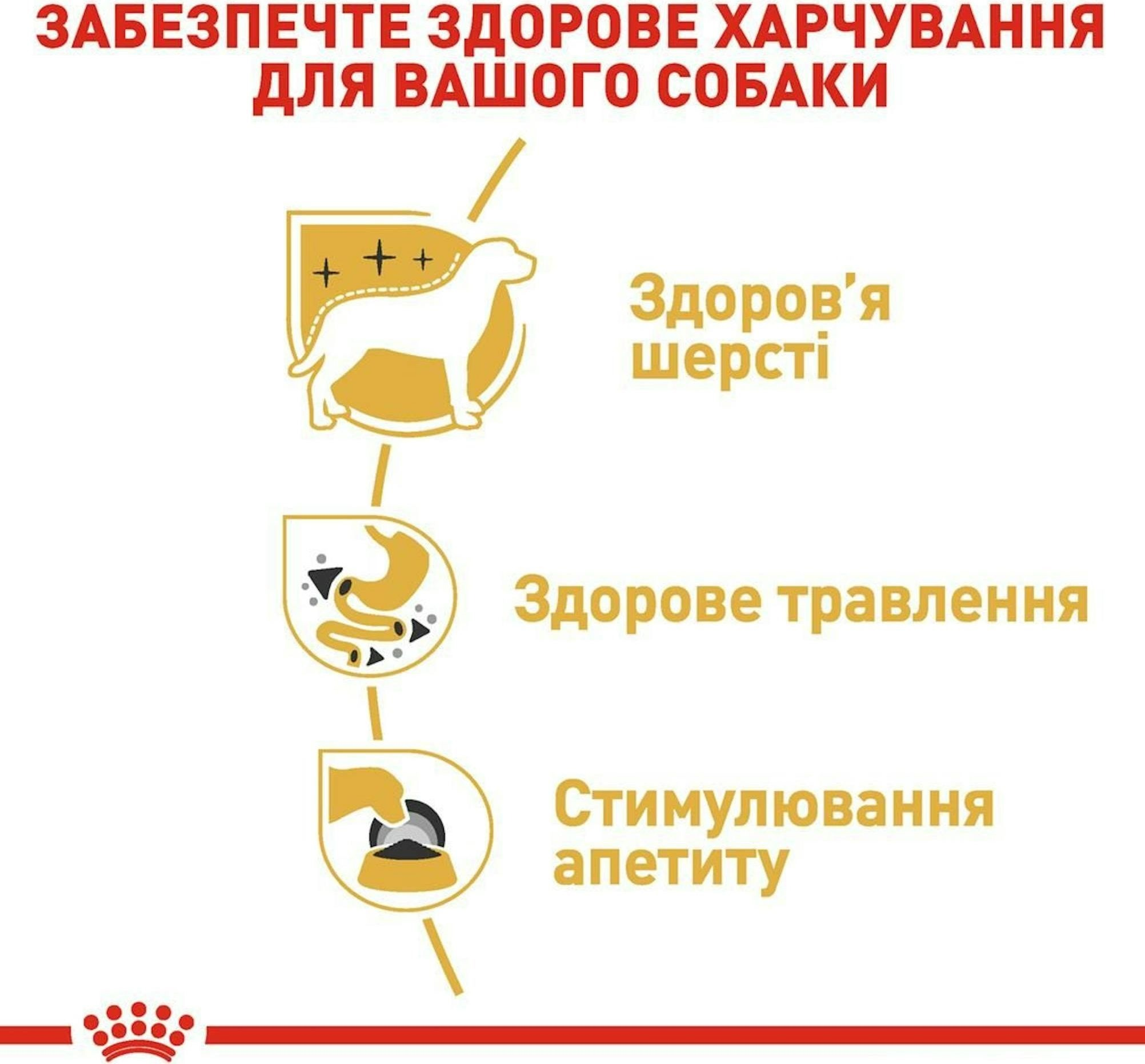 Вологий корм для собак породи Чихуахуа Royal Canin Chihuahua Adult 8+4*85гфото