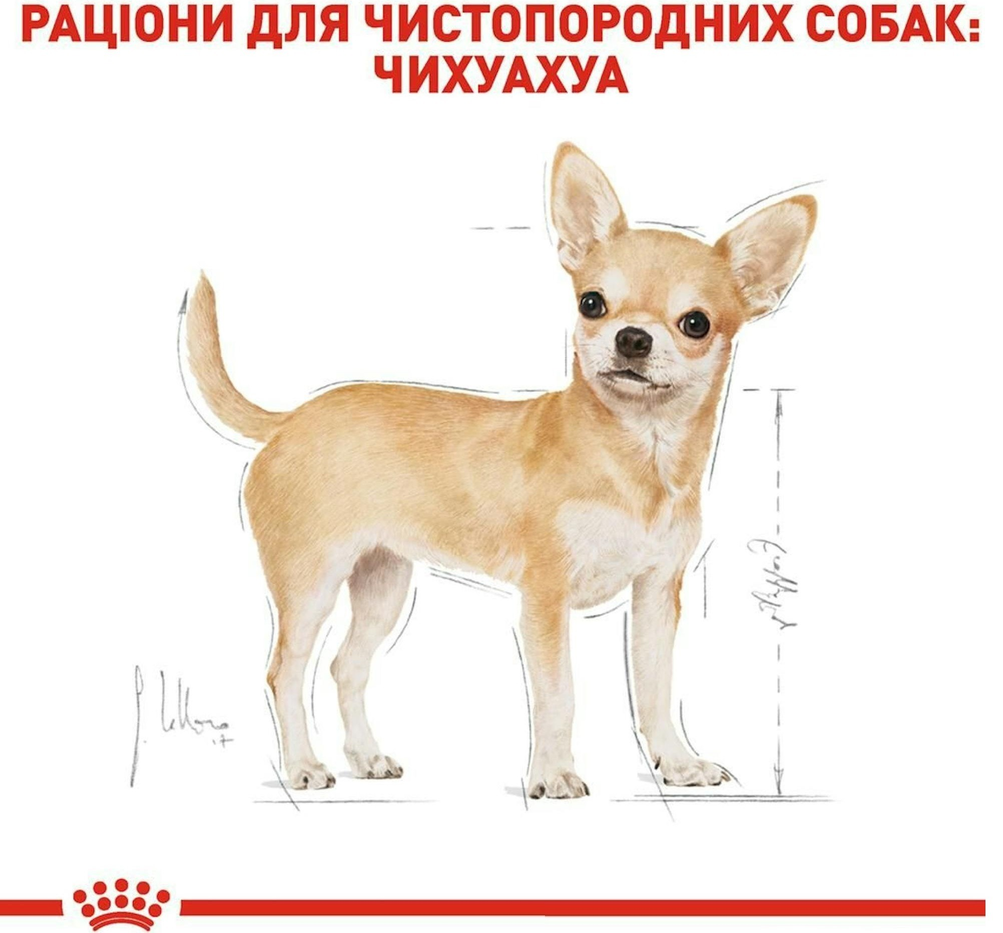 Вологий корм для собак породи Чихуахуа Royal Canin Chihuahua Adult 8+4*85гфото