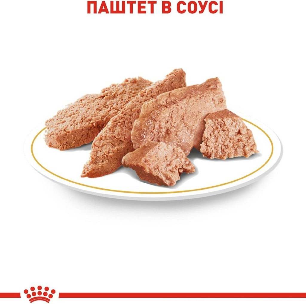 Вологий корм для собак породи Йоркширський-тер'єр Royal Canin Yorkshire Adult 8+4*85гфото