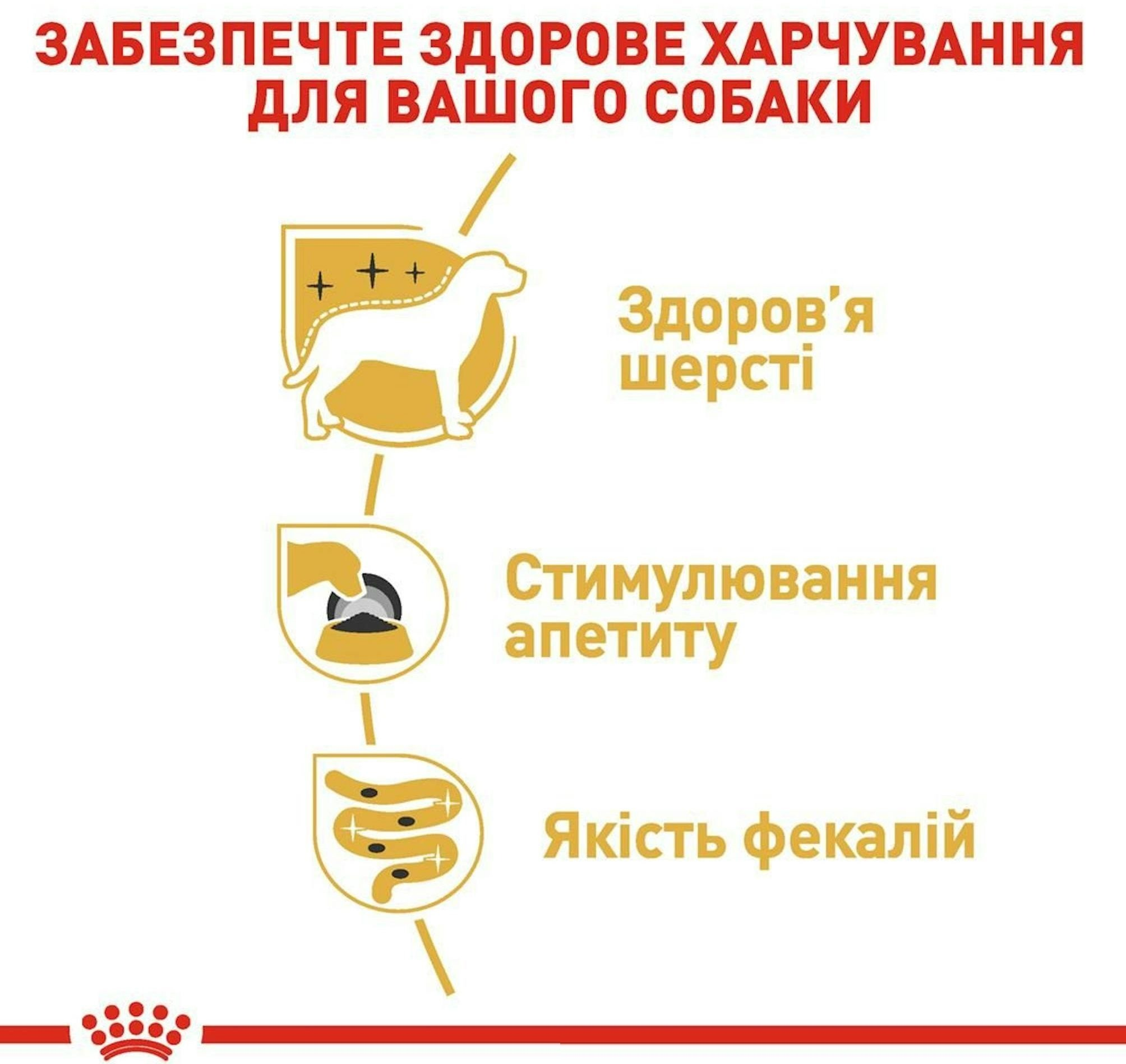 Вологий корм для собак породи Йоркширський-тер'єр Royal Canin Yorkshire Adult 8+4*85гфото