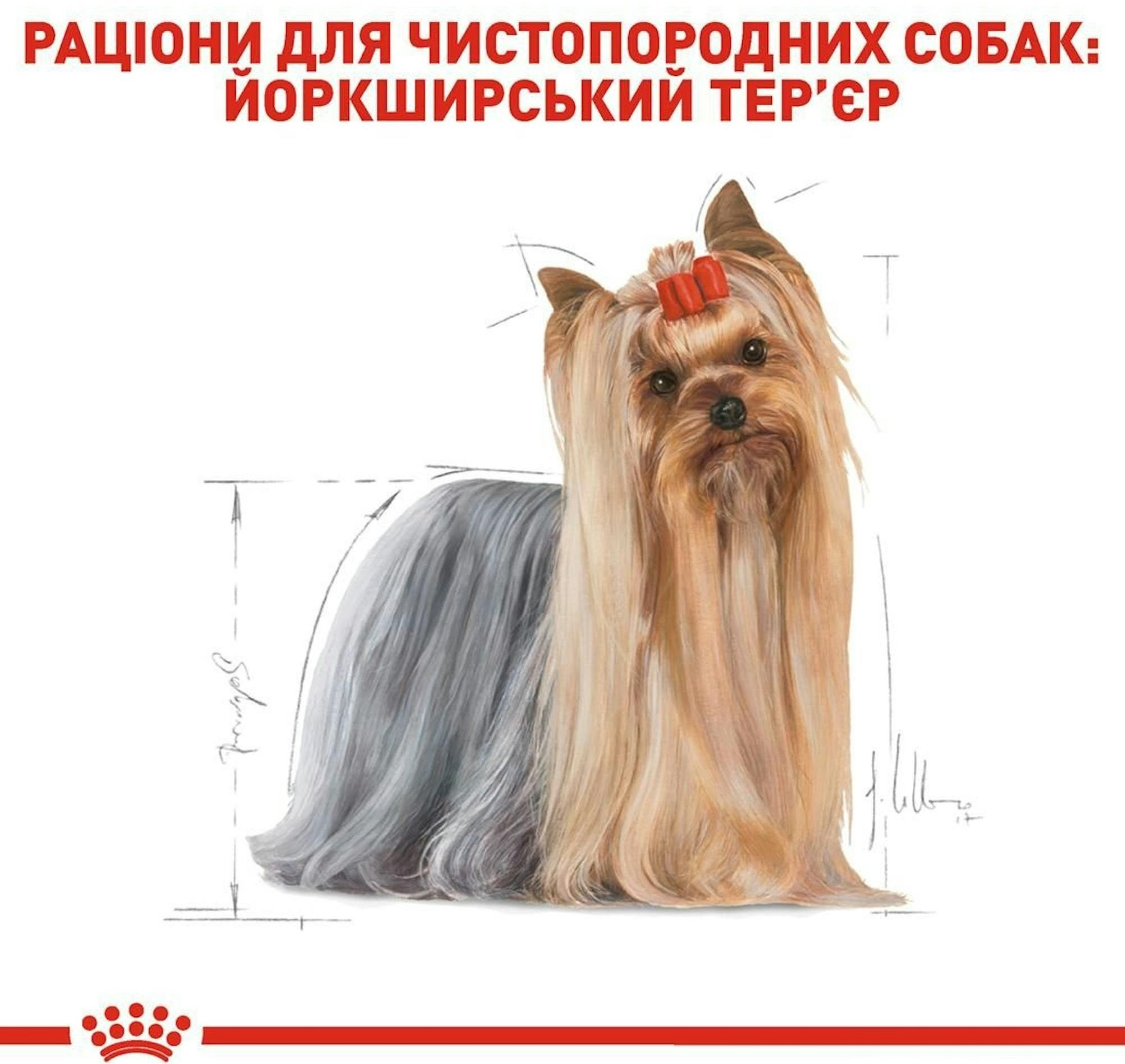 Вологий корм для собак породи Йоркширський-тер'єр Royal Canin Yorkshire Adult 8+4*85гфото
