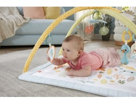 Коврик-игровой центр «Первые прикосновения ребенка» Fisher-Price (HRB15) фото 4