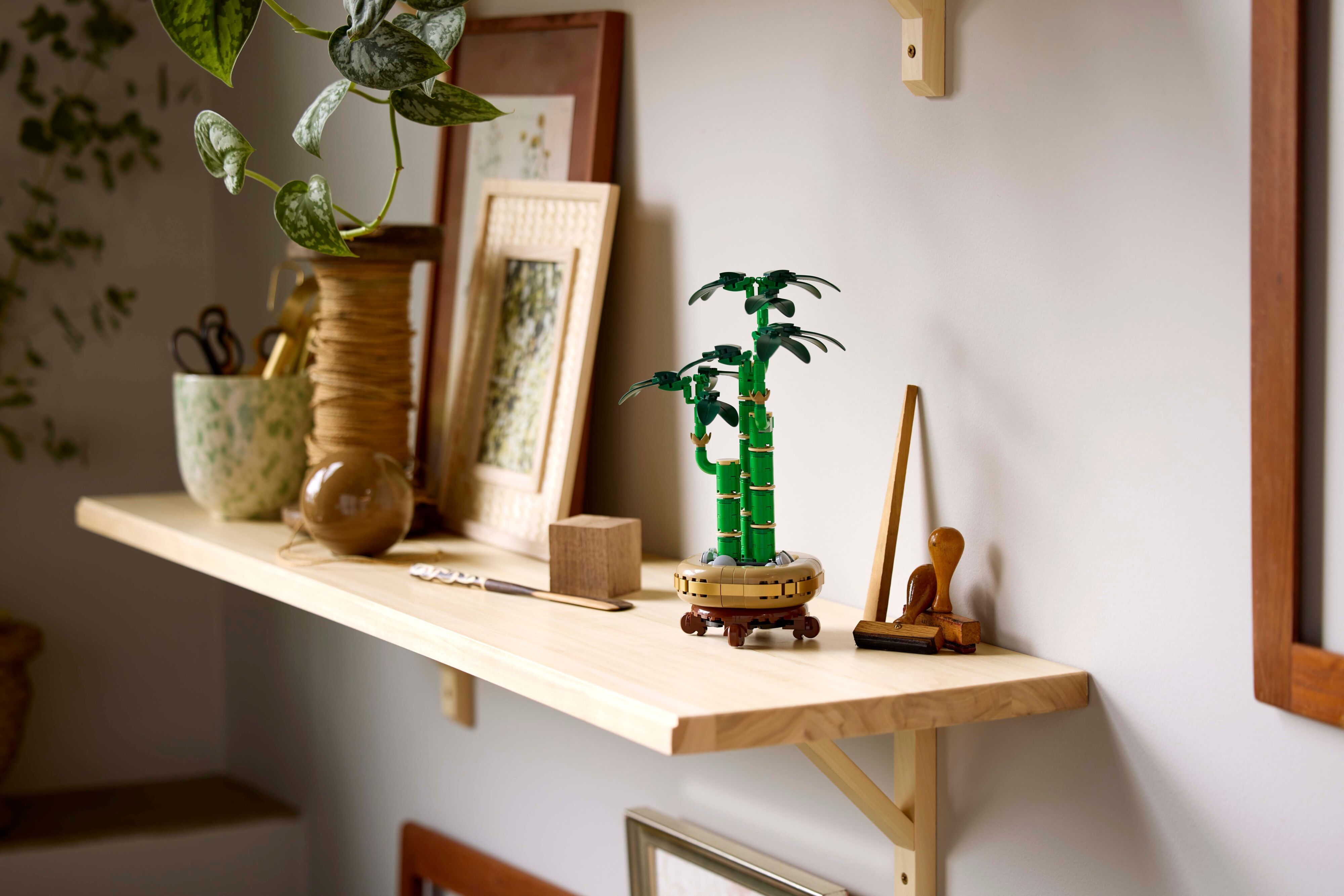 LEGO 10344 Botanicals Бамбук щастяфото11