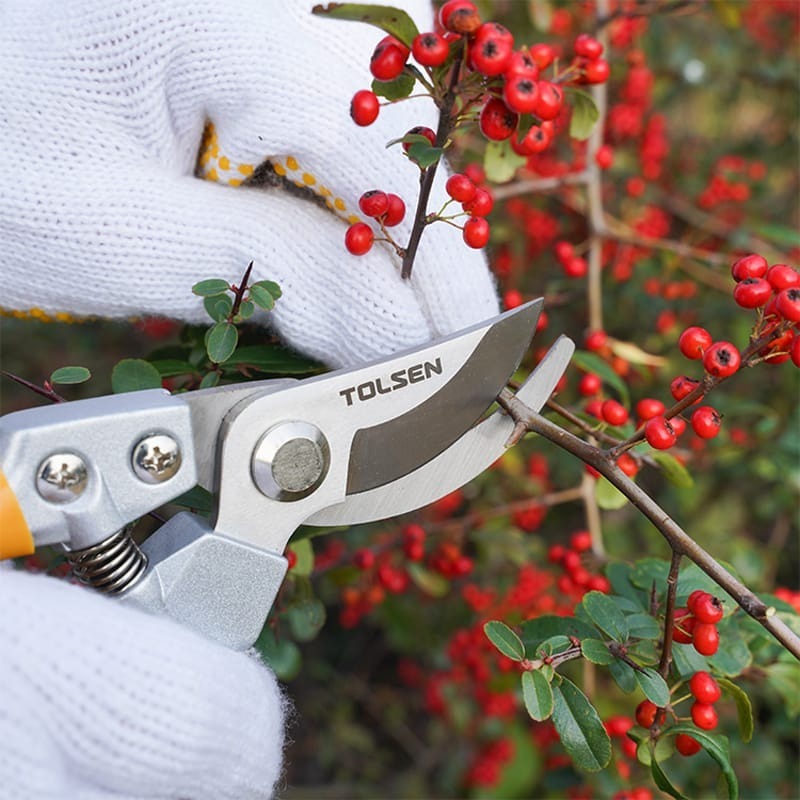 Секатор контактный Tolsen Профи 200мм (31032) фото 7