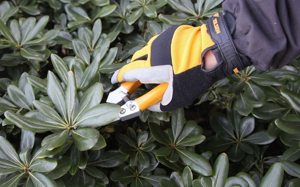 Секатор контактный Tolsen Профи 200мм (31032) фото 10