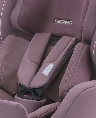 Автокресло Recaro Salia Prime Pale Rose (89025330050) фото 2