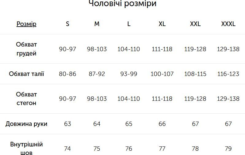 Термоштаны мужские Lasting Wely L серые фото2