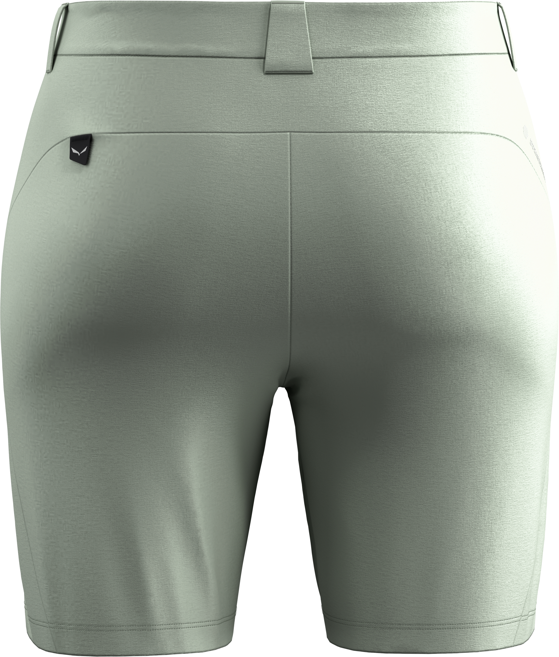 Шорти жіночі Salewa Puez Talvena DST Shorts W 28819 5130 38/32 XXS сіріфото