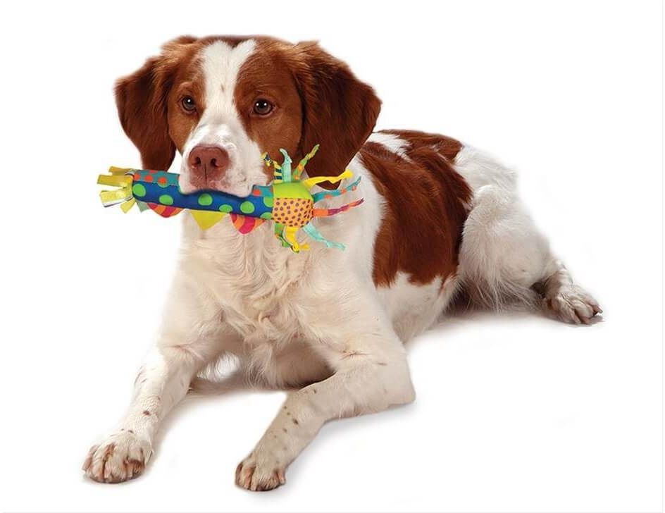 Игрушка для собак Petstages для нежных десен фото 