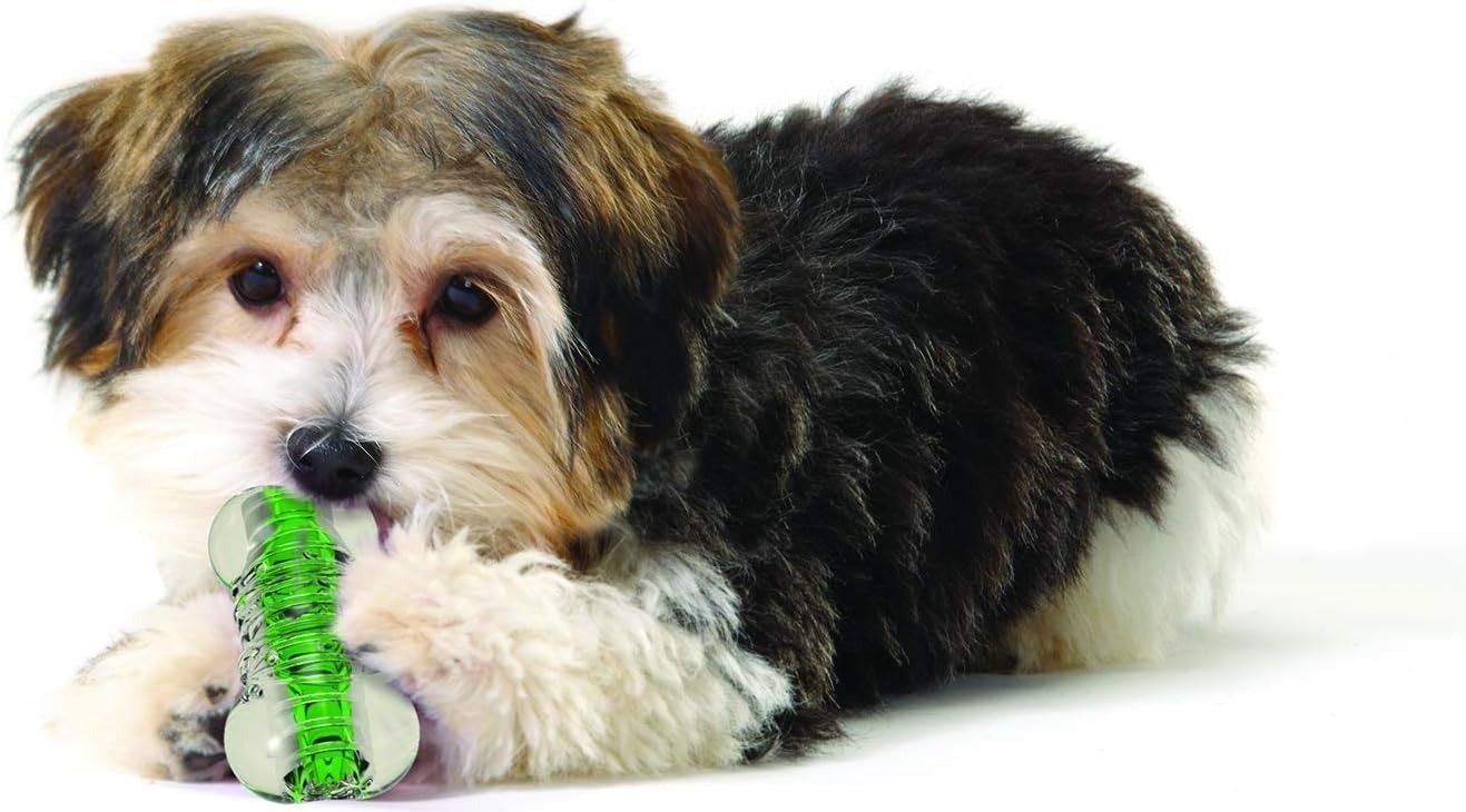 Іграшка для собак Petstages Crunchcore хрустка кістка прозоро-зелена середняфото4