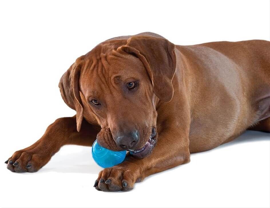 Іграшка для собак Petstages Orka тенісний м'ячфото