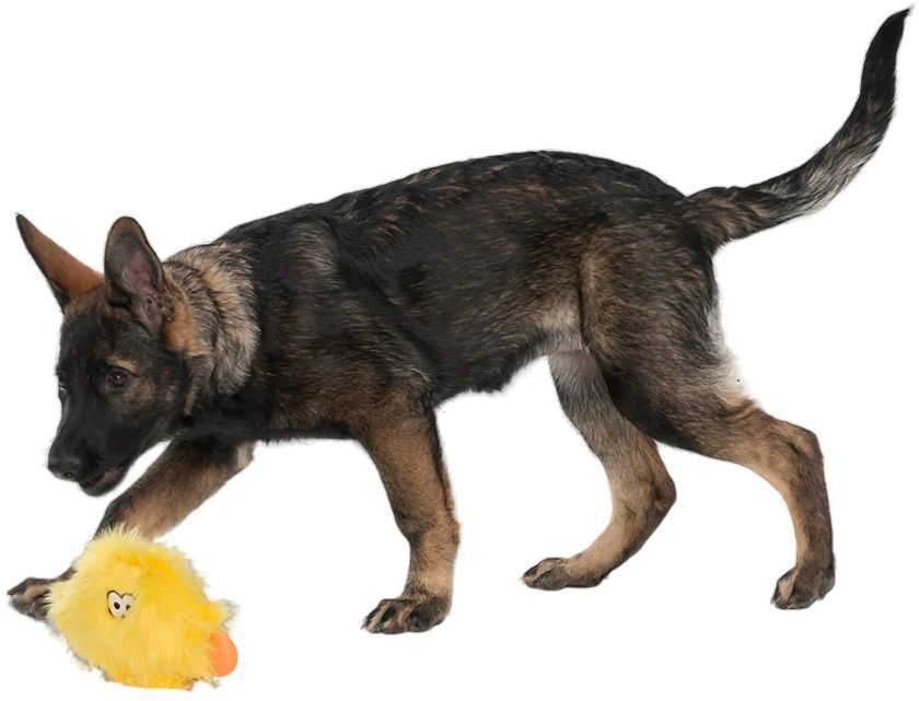 Игрушка пищалка для собак West Paw Taylor Тейлор пушистый лимонный фото 2