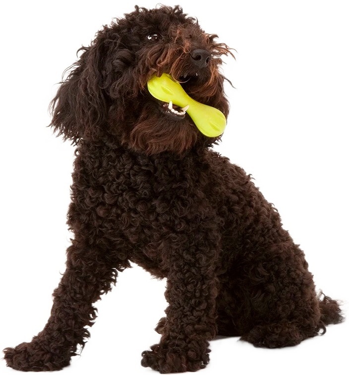 Іграшка для собак West Paw Hurley Small Харлей кістка маленька зелена 15смфото