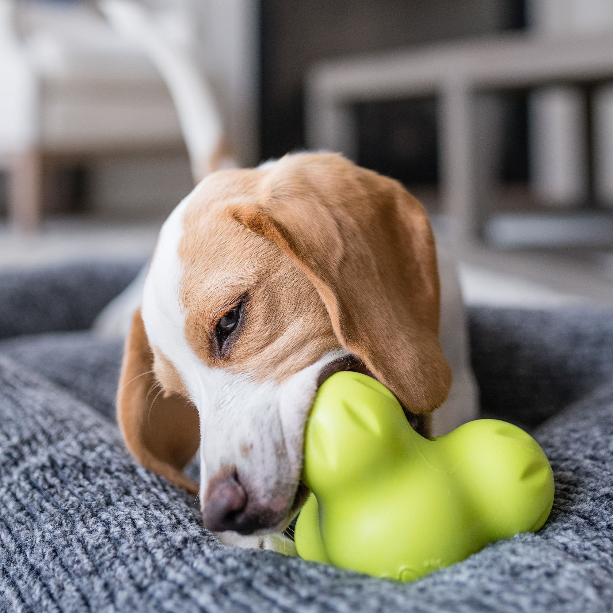 Игрушка для собак West Paw Tux Small Тукс для лакомства маленький зеленый 10см фото 7