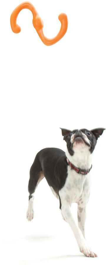 Игрушка для собак West Paw Bumi Small Буми S-образная маленькая оранжевая 21см фото 4