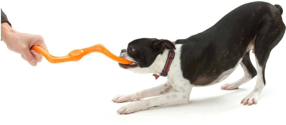 Игрушка для собак West Paw Bumi Small Буми S-образная маленькая оранжевая 21см фото 5