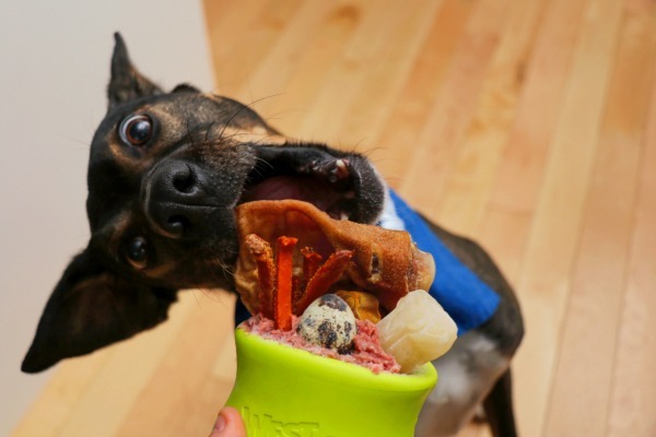 Игрушка для собак West Paw Toppl Small Топпл для лакомства маленький зеленый 8см фото