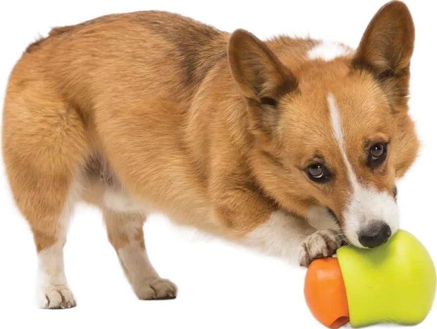 Игрушка для собак West Paw Toppl XLarge Топпл для лакомства очень большой зеленый фото 5