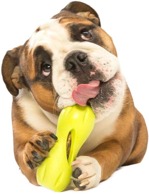 Игрушка для собак West Paw Qwizl Small Квизл для лакомства маленький голубой 14см фото 4