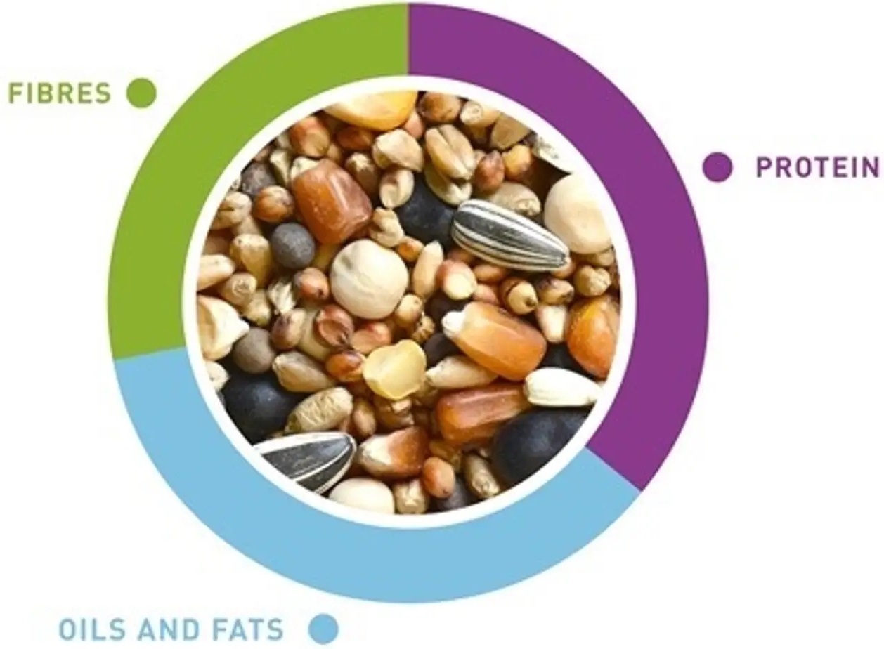 Корм для голубів Padovan NatMix Colombi 5кгфото2