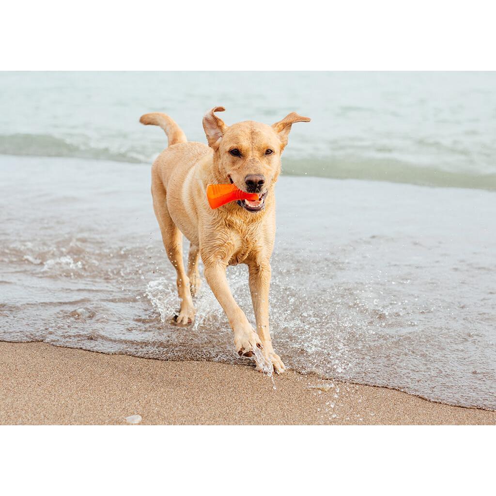 Іграшка для собак Outward Hound Bionic Opaque Bone кістка середня зеленафото3